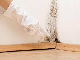  Reed Creek, GA Mold Removal & Remediation Pros